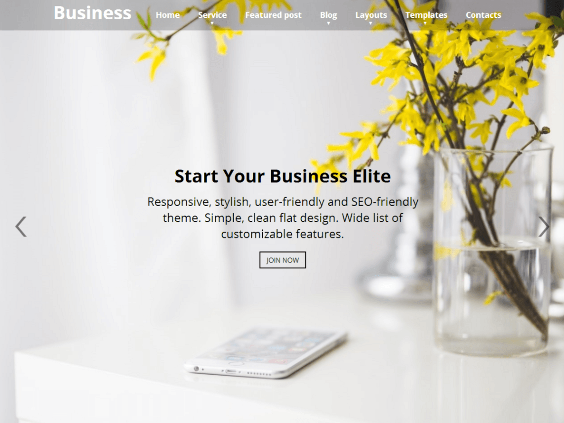 Business Elite WordPress theme
