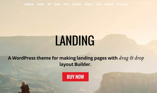 Landing WordPress theme